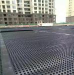 Modern Engineering Construction Waterproofing Water Storage Drainage Board for