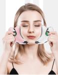 Portable Vibration Facial Beauty Device Electric Gua Sha For Face Slimming
