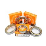 Single Row NU/NJ/NF313EM Cylindrical Roller Bearing 65*140*33mm for Speed