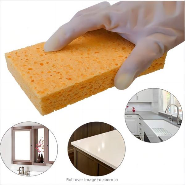 Natural Sisal Coconut Kitchen Sponge - Oil-Resistant & Absorbent