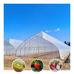 Wholesale Tropical Plastic Film Single-span Sawtooth Strawberry Growing Tent Greenhouse from china suppliers
