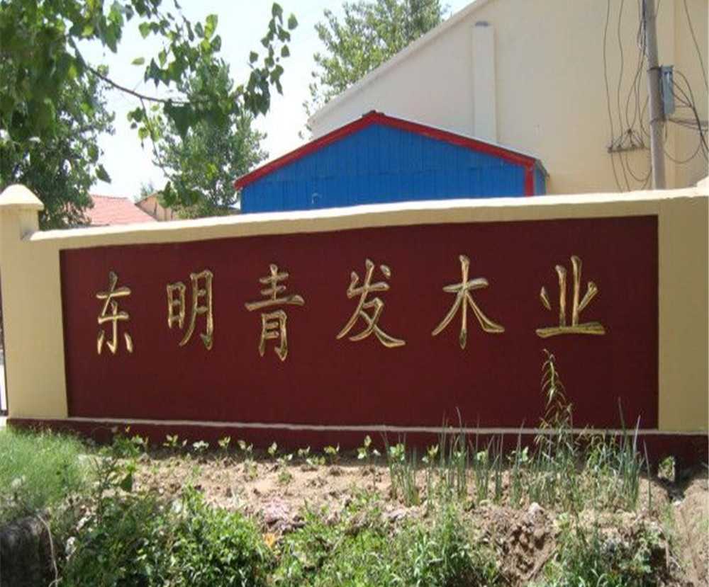 Contemporary Graphic Design Natural Poplar Lumber Board Project Solution Capability