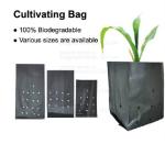 Weed Control Mulch Film, Agriculture Vegetable Black PE Films, 5 Holes