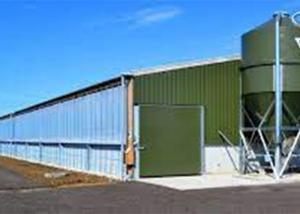 Wholesale Prefab Steel Portal Frame Structure Construction Windproof Pig House from china suppliers