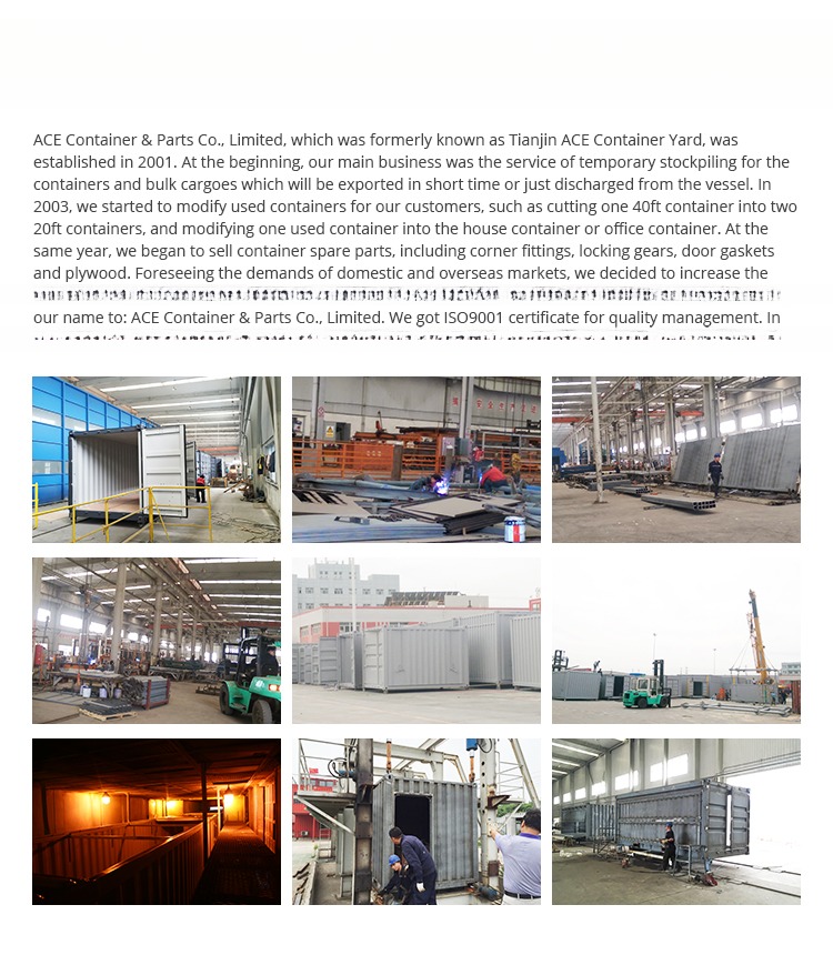 40ft Corten Steel and Aluminium Material Refrigerated Container with -30°C / -22F Deg Inside Temperature from Thermo King