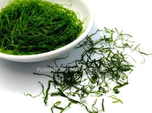 Wholesale Premium 200g Emerald Prolifera Seaweed Powder Vegan Cooking Essential from china suppliers