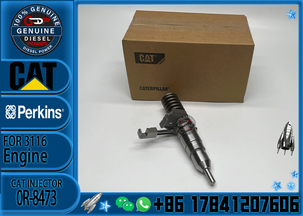 Excavator Parts CAT 3114 3116 3216 Engine fuel injector fuel injector 4P-2995 6I-3669 0R-8471 0R-8475 0R-8473