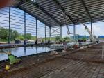 High Builidings Stable Garage Steel Frame Q355B for Car Parking
