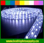 waterproof DIP 144leds/m 5 wires flat led rope light 110v/220v