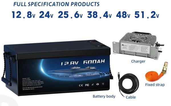 High Conversion Rate Lead Acid Battery To Lithium Ion Battery Series Free