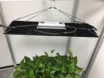 660nm 3000K High PPFD LED Grow Light