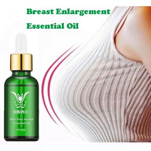 Wholesale Breast Enlargement Essential Oil 100% Pure Natural Chest Enlargement Cream Essential Oil For Breast Massage from china suppliers