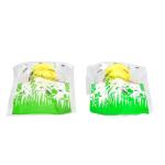 Insect Control Plastic Flying Catcher Trap Bag for Safe and Eco-Friendly Pest