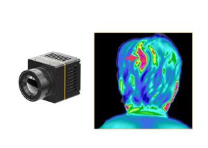 Wholesale Medical Thermal Imaging Infrared Camera Core 384x288 17um from china suppliers