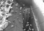 Polyurethane Wear Resistant Lining