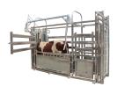 Headlock Galvanized Livestock Fencing