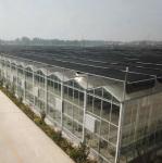10 X 6 10 X 12 10 X 10 10 X 8 Commercial Glass Greenhouse Galvanized Steel