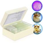 Boutique Meiosis Medical Research 12PCS Pre Prepared Microscope Slides