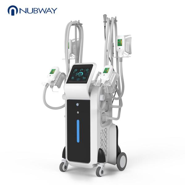 -15 C powerful cooling temperature 4 Handles Fat Freezing Cryolipolysis Body