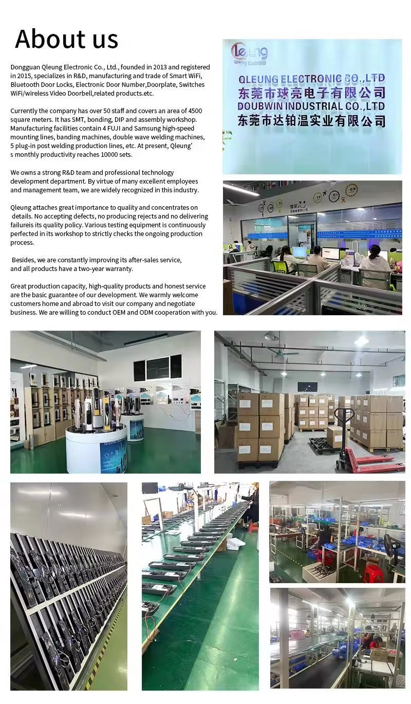 Qleung S924MAX Biometric Fingerprint With HD Camera Digital Remote Control Smart Door Lock