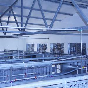 Wholesale Battery Poultry Farming Equipment , Durable H Type 192 Baby Chicken Cage from china suppliers