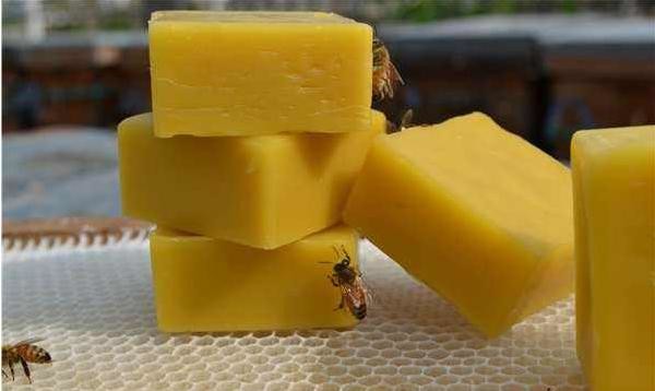 Cosmetics Polishing Products 1 OZ Beeswax Bars For DIY Hand Crafts