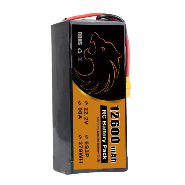 22.2V 6S3P P42A Battery Pack inr-21700-P42A lion molicel P42A 12600mah fpv