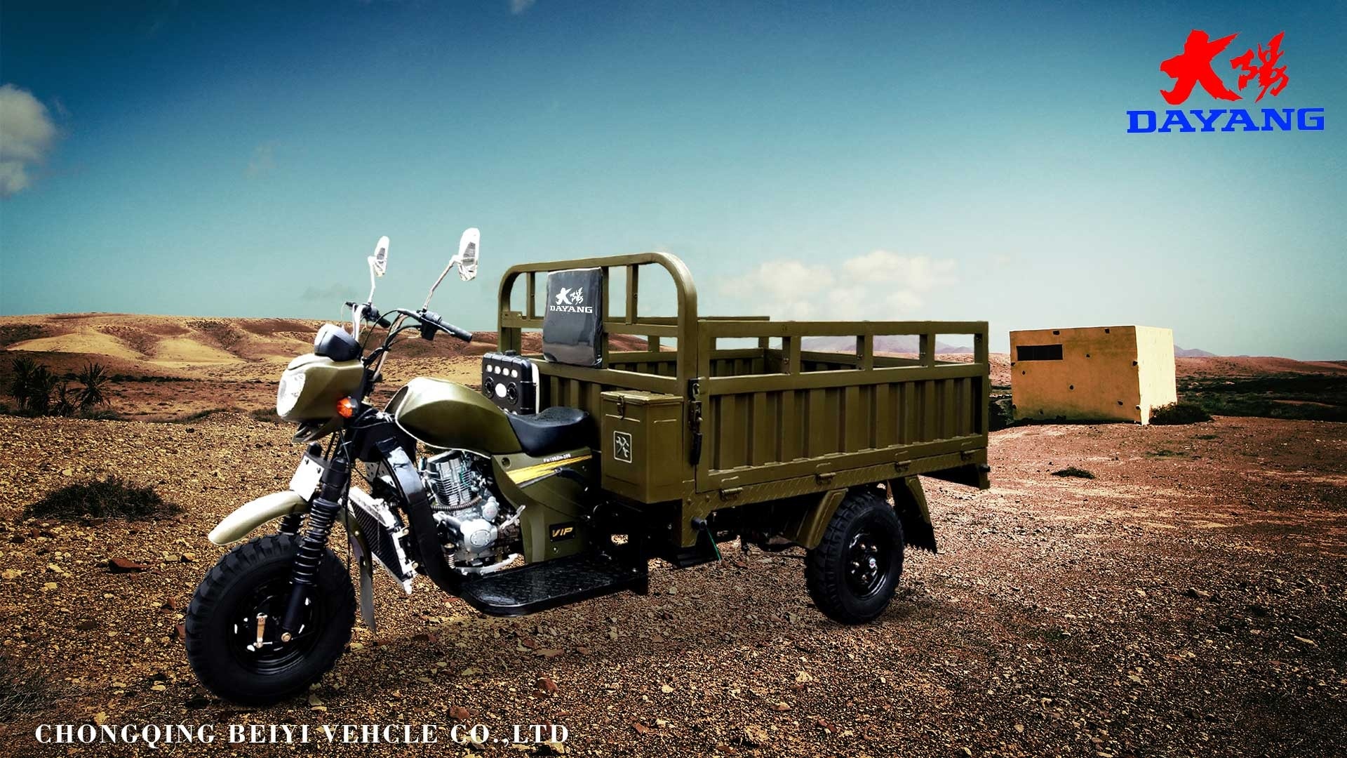 3 Wheel 150cc Cargo Motorcycle with Heavy Loader and Tyre 5.0-12