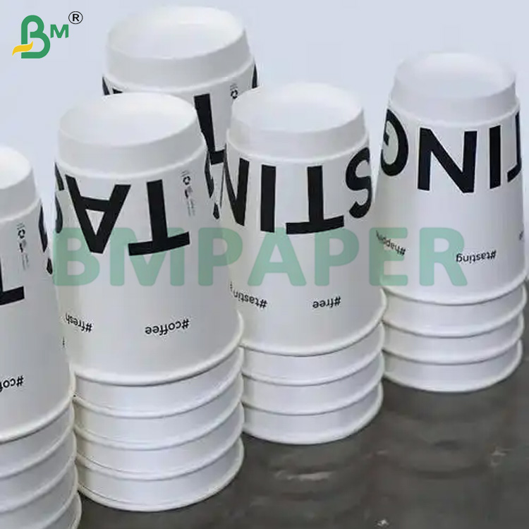 240g white cup paper 100 % wood pulp and uncoated for cup