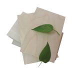 Furniture Grade Russian 3mm 30mm Birch Faced Plywood