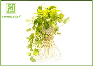 Wholesale Handled Natural Bamboo Flower Pots For Green Garden Plants Customized Shape from china suppliers