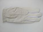 golf glove , golf gloves , glove , gloves