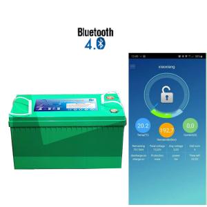 Wholesale Cylindrical Bluetooth 50ah 12V Lithium Iron Battery from china suppliers