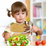 Farm Poultry Cock Chicken Baby Apron Bib For Toddler 6-24 Months Boys & Girls