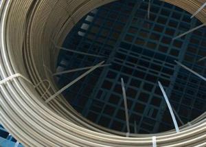 Wholesale 304 / 304L Stainless Steel Coil Tubing , High Pressure Stainless Steel Pipe Coil from china suppliers