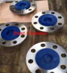 300LBS Pressure Forged Steel Flanges 304L ANSI - Flansche DIN 28031 - 26036