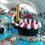 Space Bowl Fiberglass Water Slides For Adventure Amusement Waterpark Water