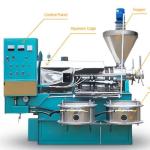 cold press hydraulic cooking oil Olive palm peanut olive Sacha Inchi sunflower