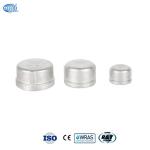 Stainless Steel Thread End Cap