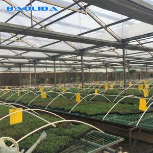 Wholesale Commercial Seedbed Wire Rolling Greenhouse Benches For Flowers from china suppliers