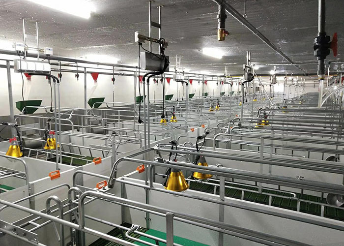 Galvanized swine Sow Farrowing Crate 2.4*1.8m width adjustable