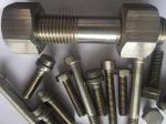 316Ti 1.4571 Duplex Stainless Steel Fasteners Bolts And Nuts Washer M6 - M100