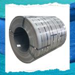 Stainless Steel AISI 316 SS Strip Tolerance ±0.02mm for Industrial Use