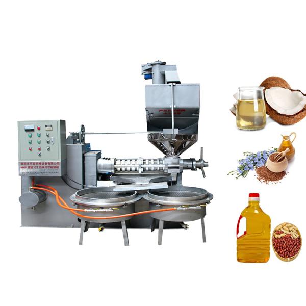 Alloy Steel Screw Oil Press Machine Popular Cooking Oil Extraction Machine