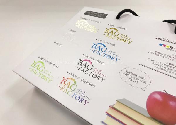 Corporate Retail Branded Carrier Bags With Own Logo , Branded Paper Bags with