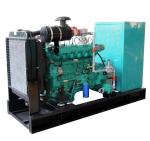 16kw/20kva Gas Engine Genset for Natural Gas/Biogas/LPG Generator at IP23