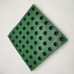Traditional Design Style Water Conservancy HDPE PVC Drainage Board for