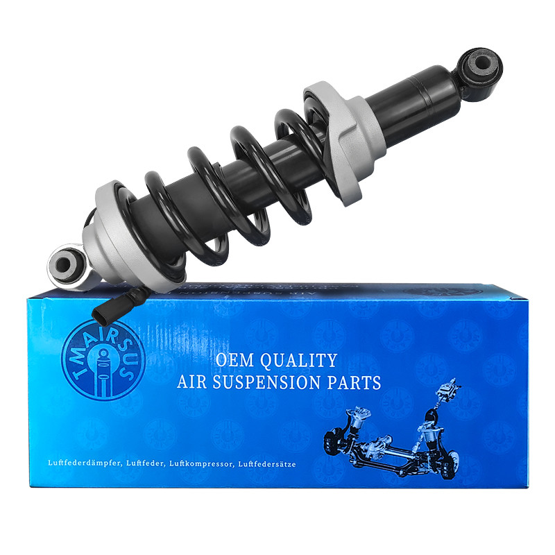 Automobile Shock Absorbers Audi R8 420412019AG 420412020AG Front Aftermarket Shock Absorbers