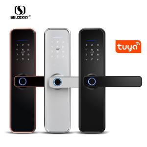 Wholesale Wifi Smart 3d Semiconductor Fingerprint Zone Digital Door Lock from china suppliers