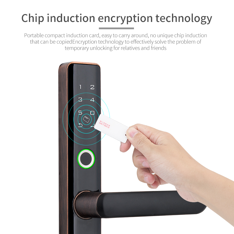 Zinc Alloy Tuya Magnetic Door Lock With Card Reader Fingerprint Sensor